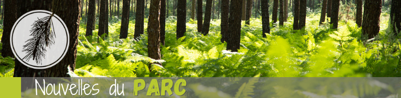 Parc Régional.png